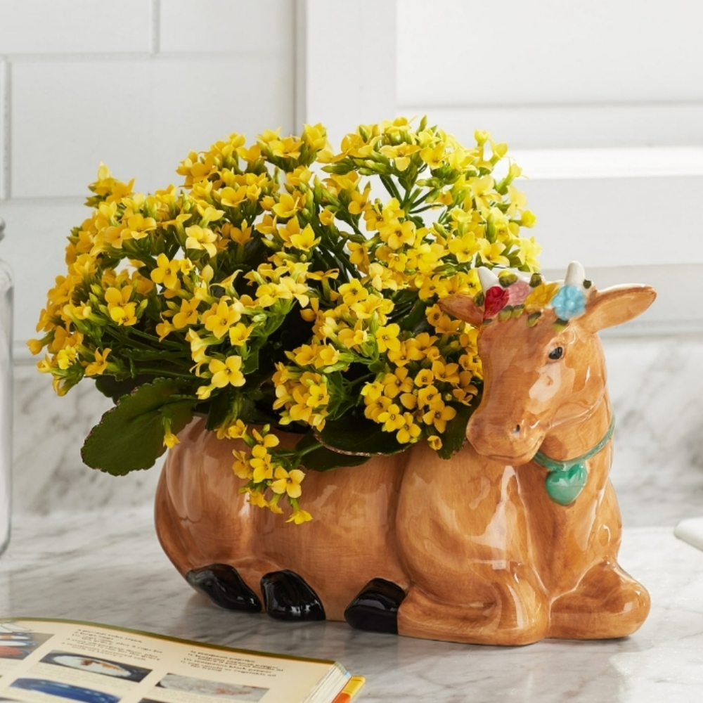 💜 New Pioneer Woman Brown Cow Planter